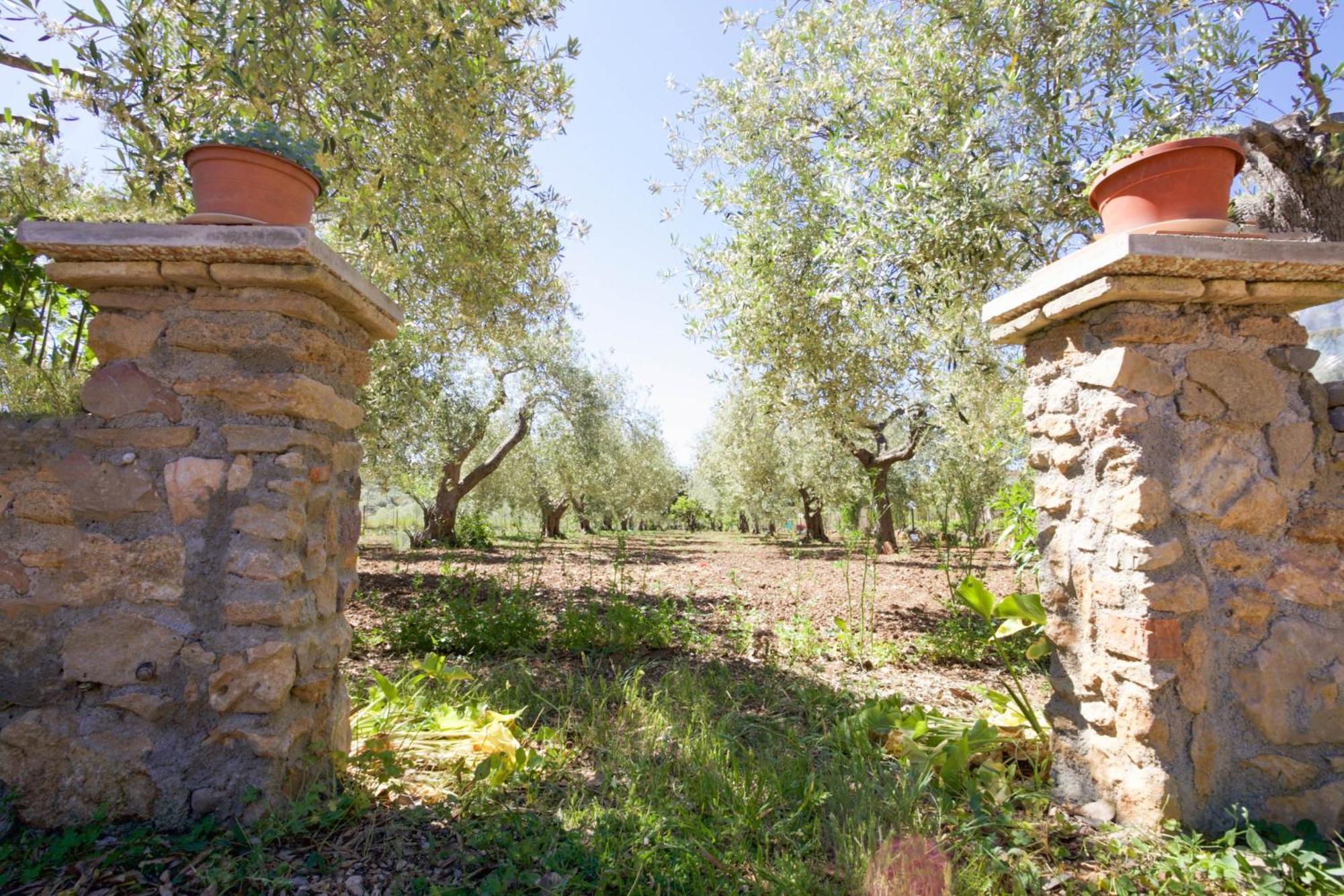 אלגהרו Villa Pedra Moro מראה חיצוני תמונה