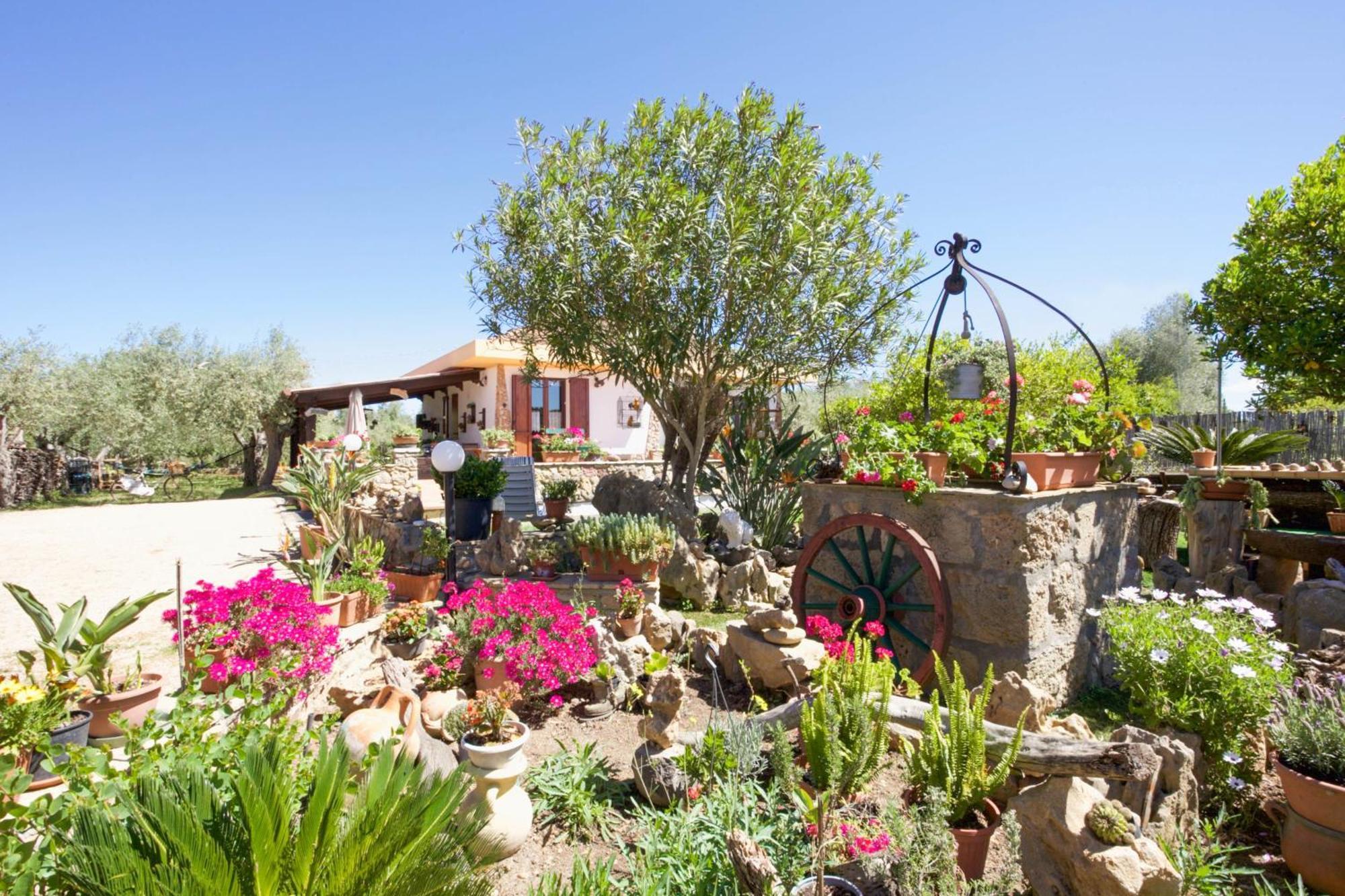 אלגהרו Villa Pedra Moro מראה חיצוני תמונה