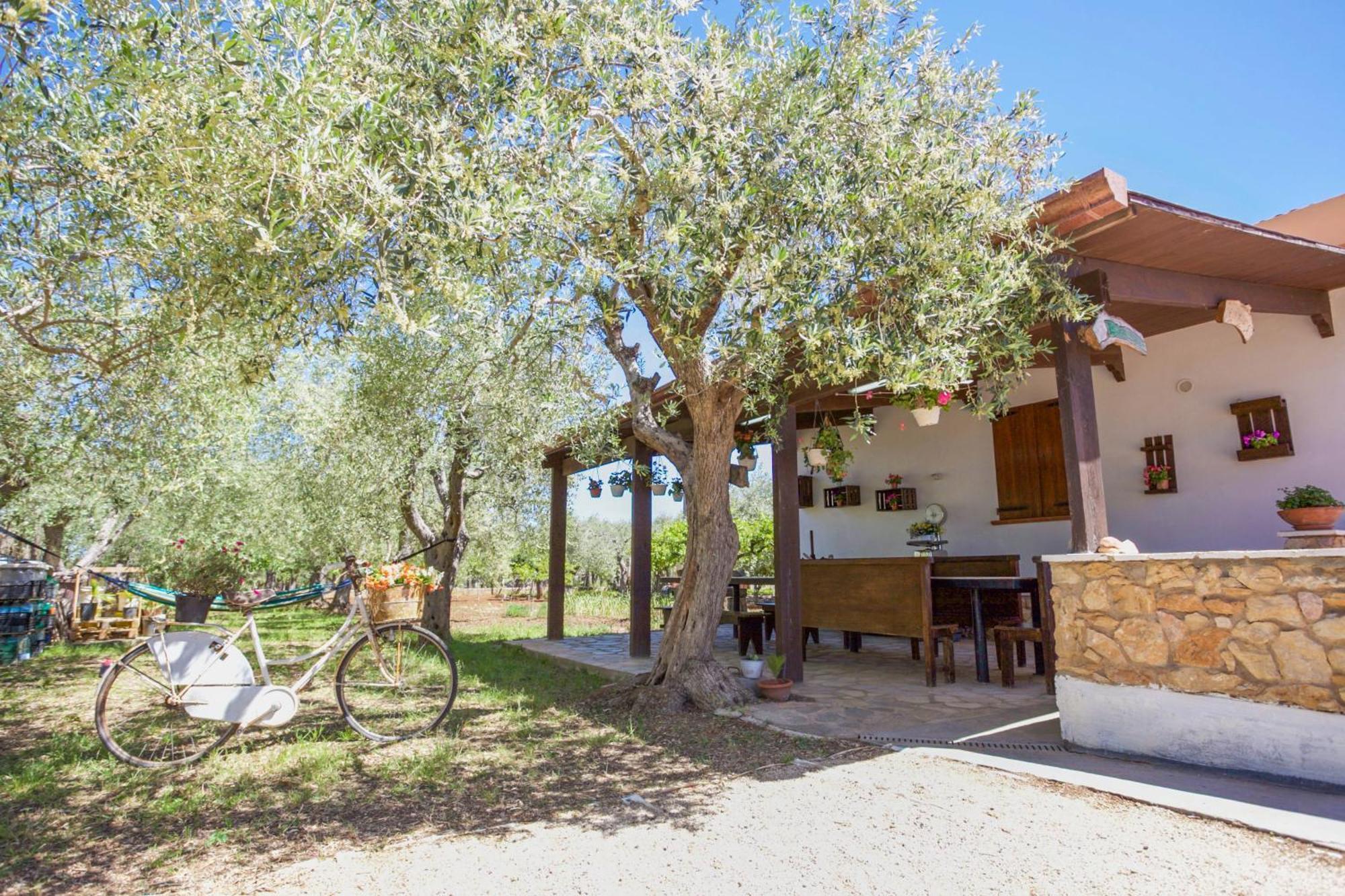 אלגהרו Villa Pedra Moro מראה חיצוני תמונה